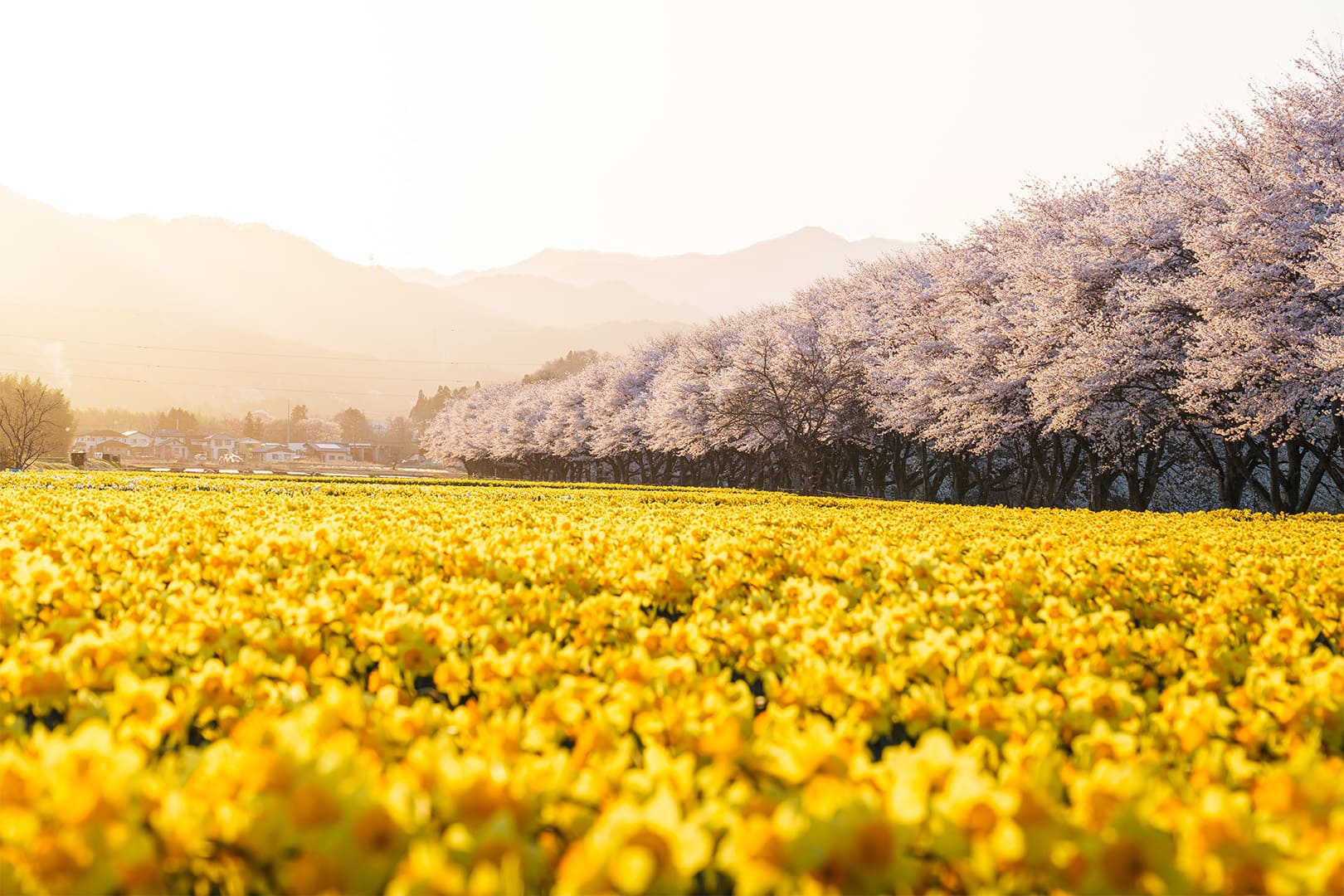 Higashiagatsuma, Gunma