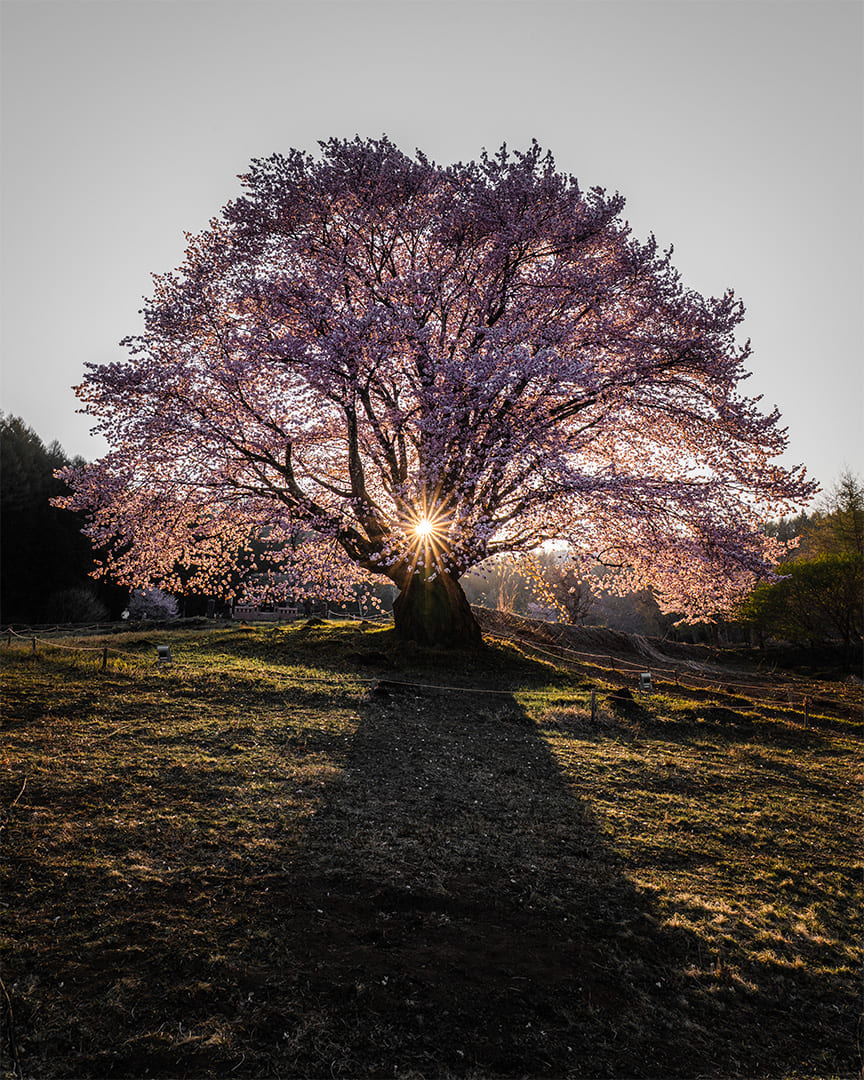 Katashina, Gunma