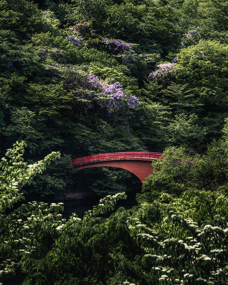 Annaka, Gunma