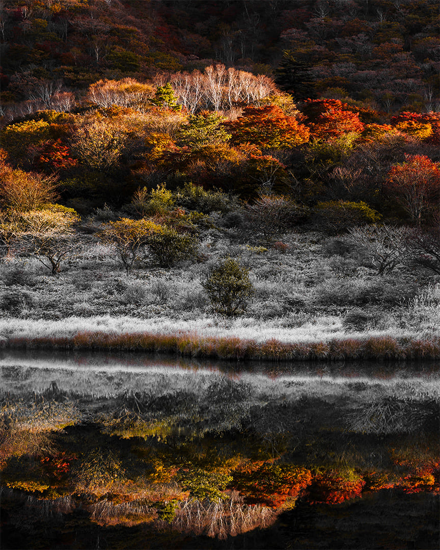 2025 AUTUMN