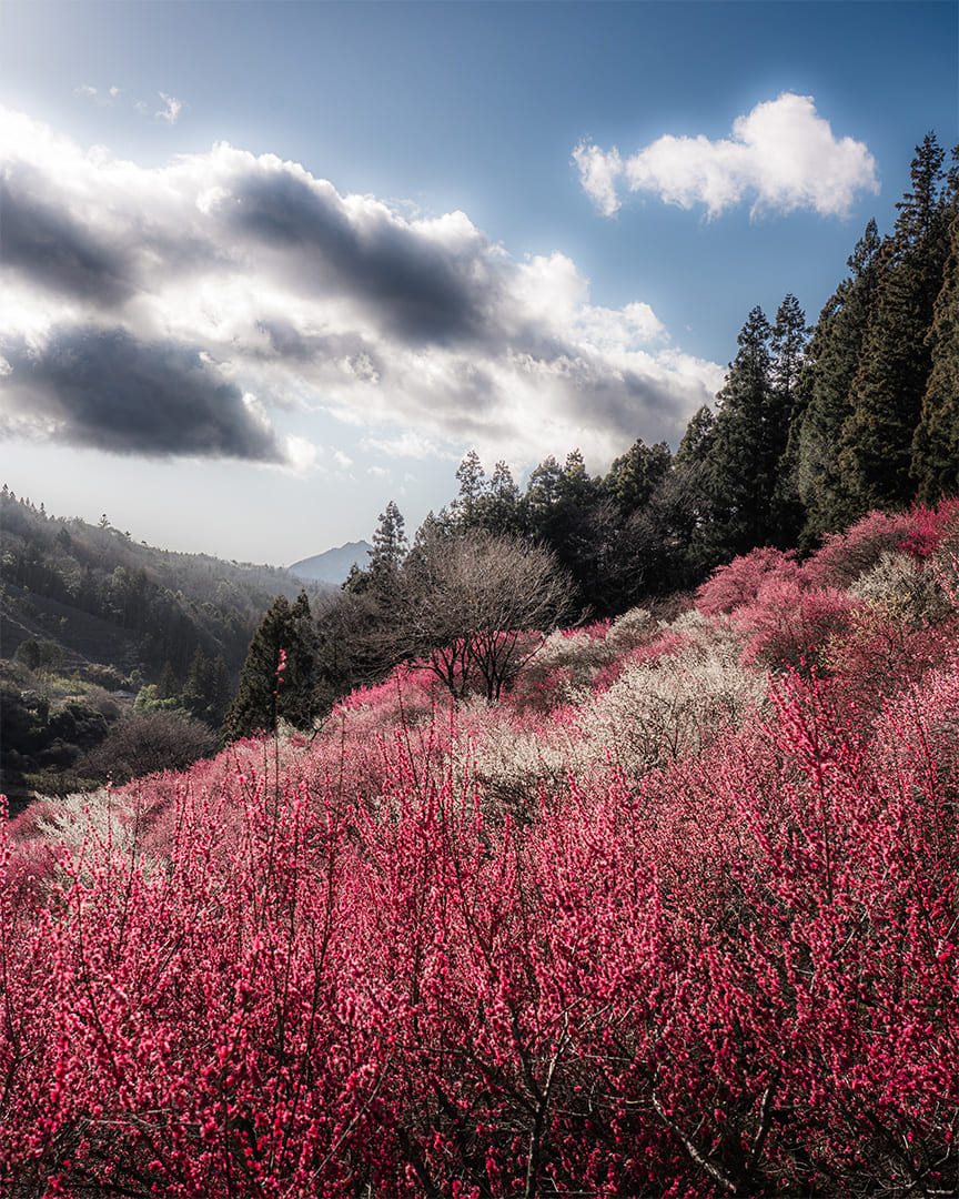 Shimonita, Gunma